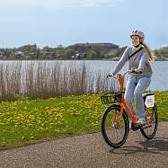 SMILE24 c1 30 04 24 379 Bear min v4