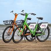 SMILE24 c2 30 04 24 669 Bear min